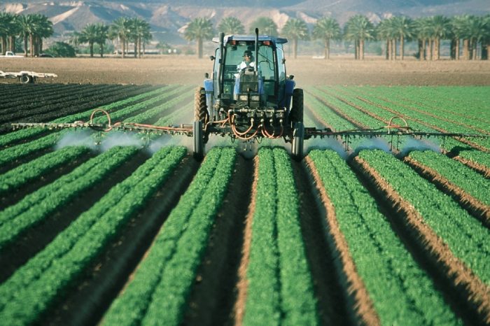 Alimenti senza pesticidi nell'Unione Europea